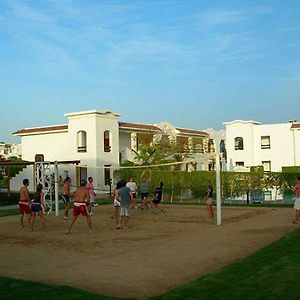 Holiday Service College & Diving